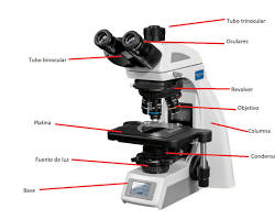 Imagen de Tubo del microscopio
