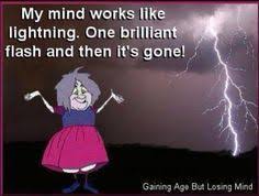 Bildresultat för ME/CFS brain fun
