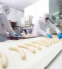 Image result for envictus international food processing