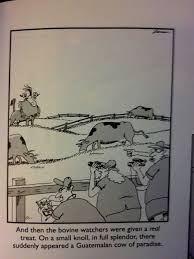 Image result for "gary larson" smite god