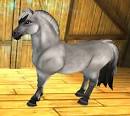 Star Stable Daily : Horse Breeds