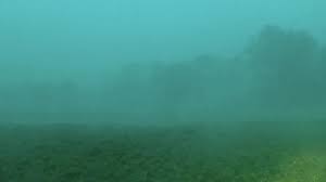 Video captures Indiana derecho as severe wind gusts may have topped 80 mph