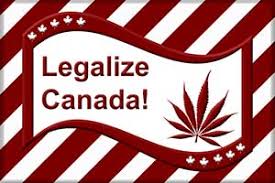 Resultado de imagen de Legalization