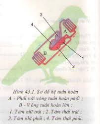 Hình ảnh có liên quan