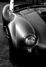 Image result for black cobra with sweet girl
