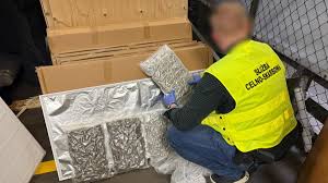 What led to the arrest of a Chinese woman in a LED marihuana smuggling plot?