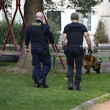 SVT Nyheter - News update