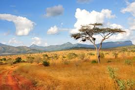 Image result for south african scenery
