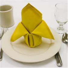 Image result for cloth napkins images