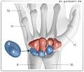 Schmerzen an der handwurzel
