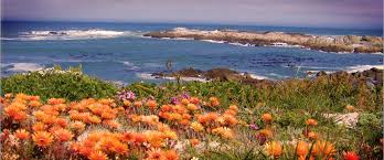 Image result for paternoster weather