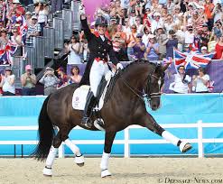 Dressage-News - News update