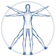 Resultado de imagen para cuerpo humano