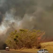 Governo de SP lança programa de prevenção a incêndios florestais em rodovias
