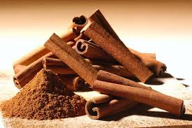 Image result for canela