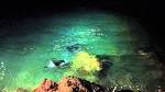 Majestic Manta Rays - My Hawaii Traveler - May-Aug 2012