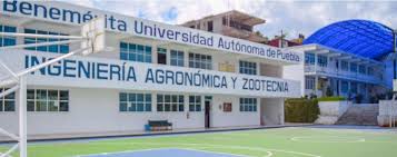 Suspende BUAP clases presenciales en 3 planteles por intensas lluvias