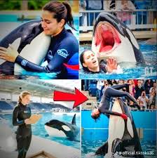 Khan_ (@abdullhah_01) | TikTok