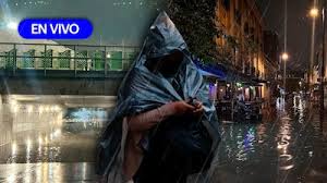 El Financiero - News update