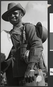 Image result for Image of Indigenous Anzacs