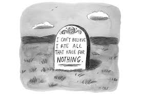 Image result for new yorker cartoons