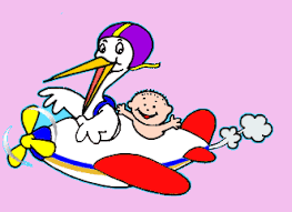 Resultado de imagem para cegonha com bebe no bico