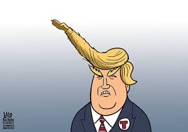 Image result for trump hair cartoons