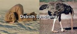 [Image: images?q=tbn:ANd9GcTum7GBfGw-HVLp2Tk1zyP...9GHsxbgFIM]