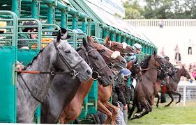 Résultat de recherche d'images pour "les chevaux de courses de pmu"