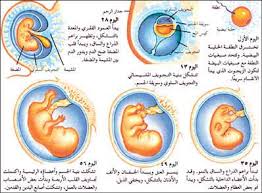 الصحة العامة لفوق ال65سنة Images?q=tbn:ANd9GcTun2ueNFz7jn64oO42JYMAgaLArcHTOC3YZZvADuocJa49rmfX