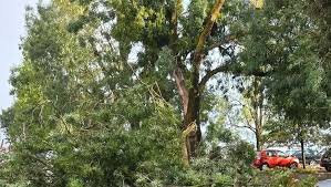 "J'ai vu les toitures des maisons s'envoler" : près de 200 interventions en Charente-Maritime après les orages — ici.fr