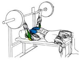 Image result for bench press