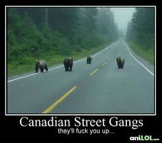 Canada on Pinterest | Meanwhile In Canada, Canada Day and Canada Funny via Relatably.com