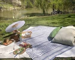 Image of perfectly styled picnic in Central Park