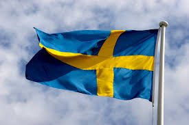 Bildresultat för svensk flagga