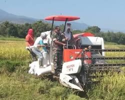 Gambar Traktor memanen padi