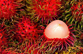Rambutan Thai - Fruits