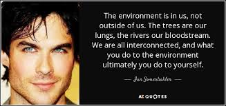 Ian Somerhalder quote: The environment is in us, not outside of us ... via Relatably.com
