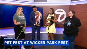 ABC7 Chicago - News update