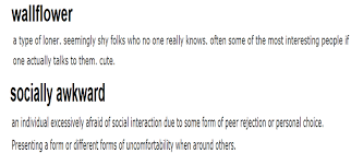 Image result for socially awkward quotes