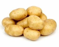 Image of Kufri Chandramukhi Potato