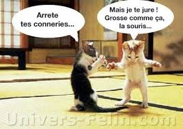 R&eacute;sultat de recherche d'images pour 