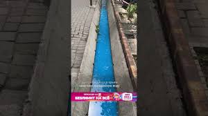 В центре Бишкека в арыке текла голубая вода. Мэрия провела проверку