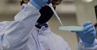 Trend Google: meningite