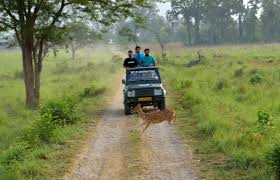Kanha National Park Safari