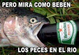 Resultado de imagen para memes chistosos