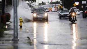 Fog and Rain Forecast for November 2025: What to Expect
