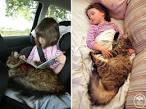 PHOTOS. Avoir un chat rend plus heureux et en meilleure sant