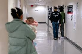 nationwide expedited removals decision Picture