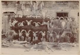 Image result for HUNTING AS A PASTIME BRITISH INDIA